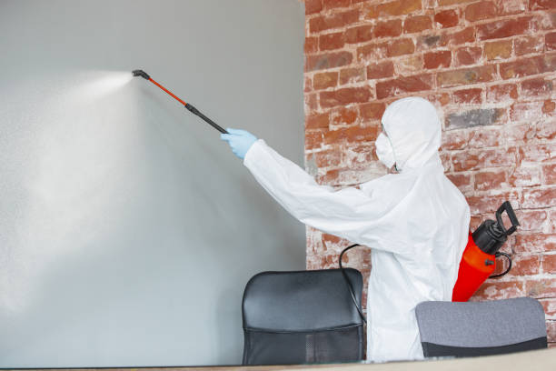 Reliable Terre Du Lac, MO Mold Removal Solutions